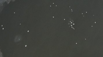 M46-M47-FG.jpg