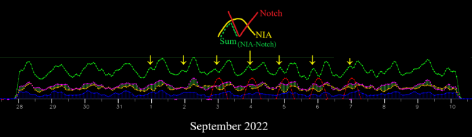 NIA-Notch.png