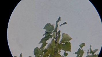 20221014_114349.jpg 20221014_114349.jpg