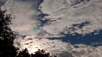 IMG_20221016_091406905.jpg