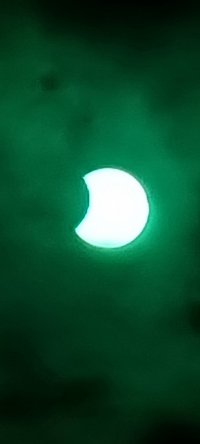 20221025_123857.jpg