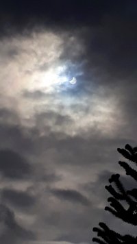 20221025_120852_1.jpg