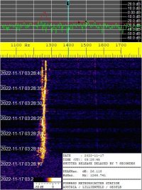 SIGNAL_20221117_032845.jpg