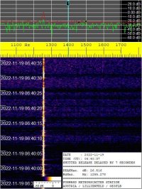 SIGNAL_20221119_064037.jpg