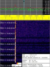 SIGNAL_20221119_064047.jpg