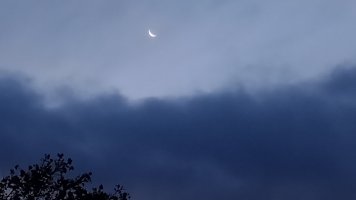 IMG_20221121_065934797.jpg