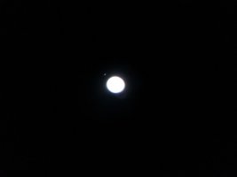 IMG_20221119_201814.jpg IMG_20221119_201814.jpg