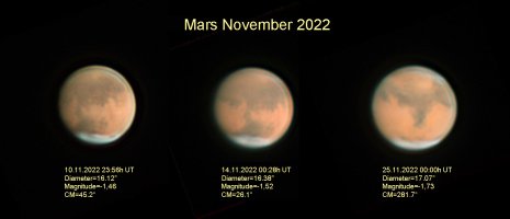 rolfmars_bearb.jpg