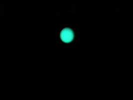 IMG_7847.JPG IMG_7847.JPG