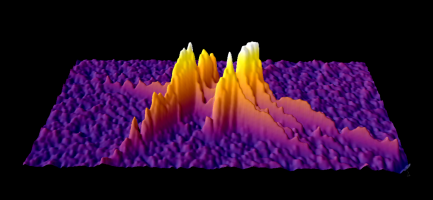 imageJ-GRAVES-xy_230106040139.png