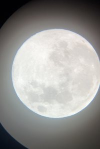 78D0FC74-0979-48C2-9F17-4F6130EA8C0B.jpeg