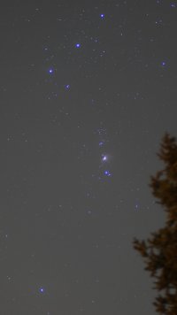_1040380.JPG