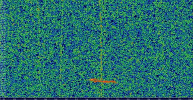 HDSDR_20230122_112239Z_143049kHz_AF.jpg