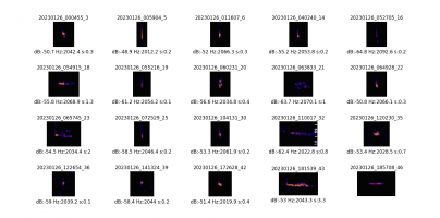 26012023_top20.png