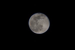 IMG_0353 JPG.jpg