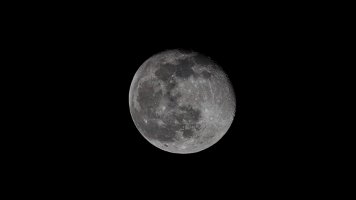 Mond_02498.jpg Mond_02498.jpg