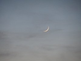 IMG_3453-50.jpg