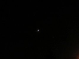 IMG_3456-50.jpg