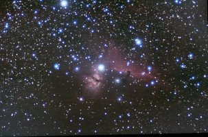 Pferde-RGB-session_1-crop-lpc-cbg-csc-St.jpg