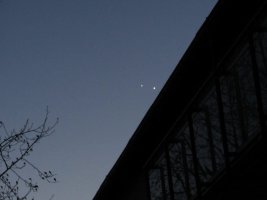 IMG_3460-50.jpg