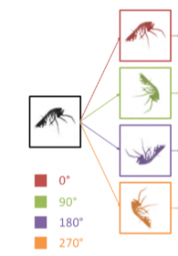 rotation_example.PNG
