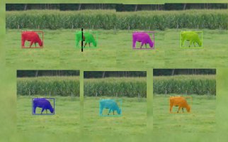 7cows-out.jpg