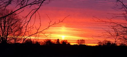 20230316_063609.jpg