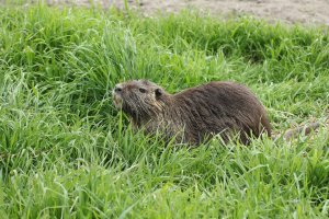 IMG_0041.JPG