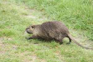 IMG_0053.JPG