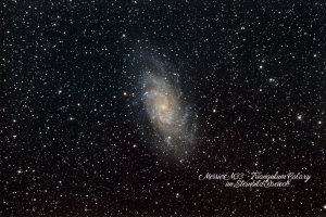 09_Triangulum Galaxy_M33.jpg