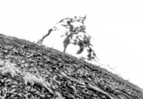 s183a4.jpg
