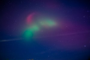 IMG_2831.jpg