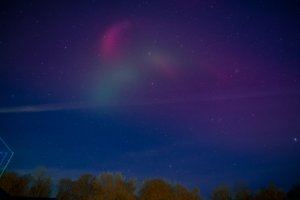 IMG_2832.jpg