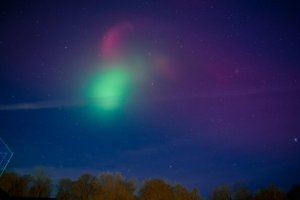 IMG_2835.jpg