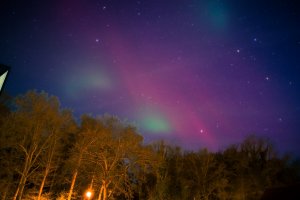 IMG_2874.jpg