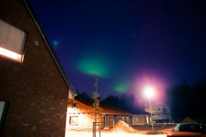 IMG_2823.jpg