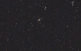 IMG_3637.jpeg