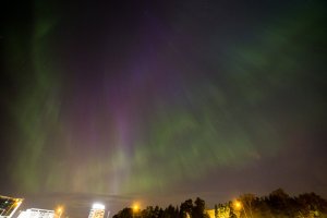 IMG_7897.jpg