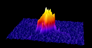 ImageJ-GRAVES-xymVV_230429025640.png