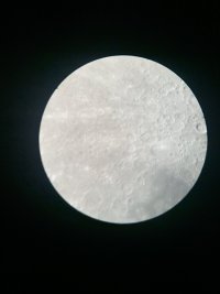 E374D537-F520-4D84-9090-6DFBC6334F47.jpeg