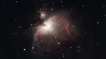 IMG_2444.jpeg