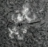 s533a.jpg