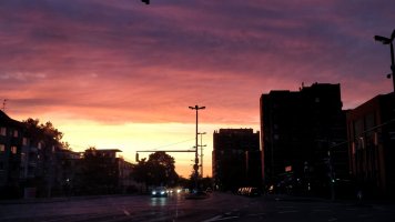IMG_20230510_052027_kl.jpg