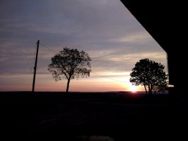 IMG_20230510_054006_kl.jpg