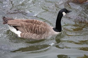 IMG_0695.JPG