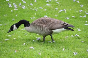 IMG_0701.JPG