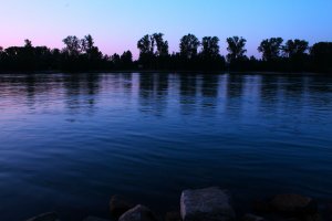 IMG_1074.JPG