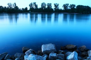 IMG_1081.JPG
