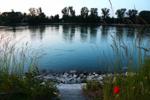 IMG_1093.JPG