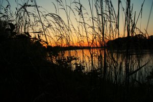 IMG_1094.JPG